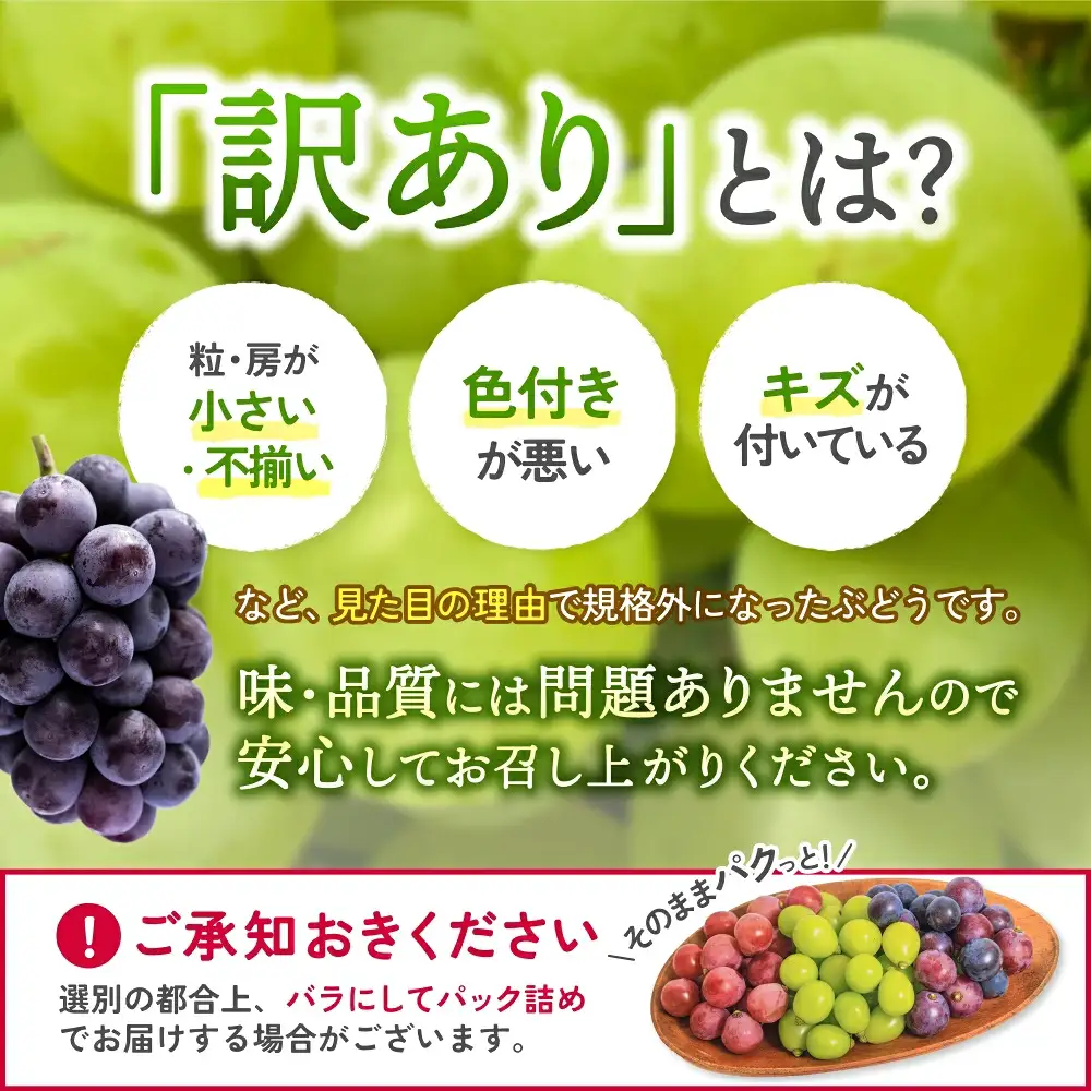 【訳あり】 岡山県産訳ありぶどう詰め合わせ 【hana018-02】