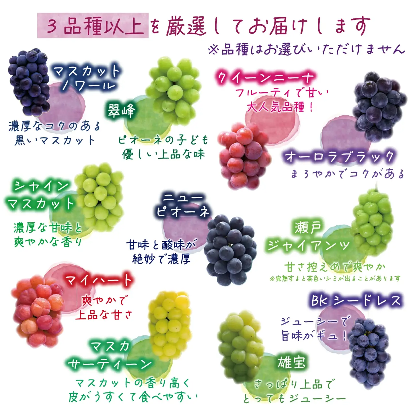 【2026年先行予約】花笑み農園　岡山『ぶどうの宝石箱』３種以上（36粒入り） 【hana051-02】