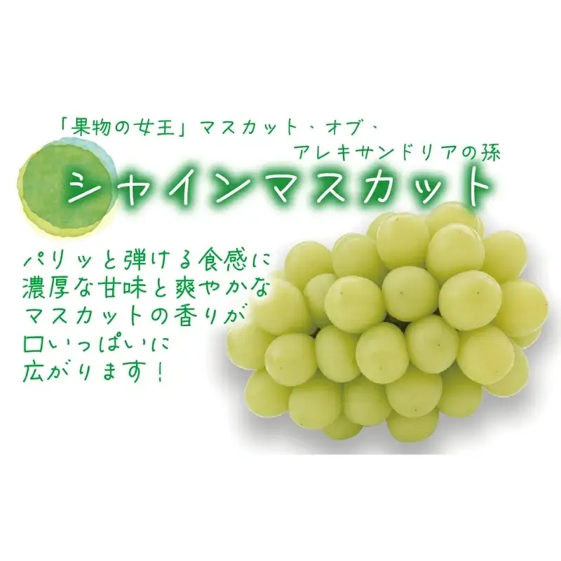 【2026年先行予約】花笑み農園 岡山の『ピオーネ＆シャインマスカット＆ラムピオーネジャム＆飲む酢』 【hana070-02】