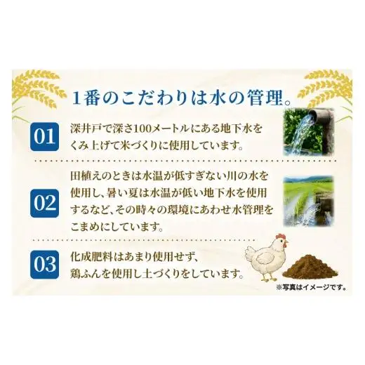 米 コシヒカリ 精米 5kg 令和8年産 こめ こしひかり 茨城県産 農家直送 先行予約 単一米 単一原料米 茨城県 阿見町 【2026年10月中旬より順次発送】（68-01）