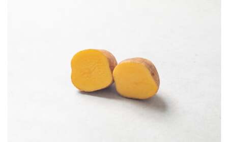［先行受付］おとふけ産じゃがいも「インカのめざめ」5kg（Sサイズ）【B126】2026年11月下旬頃より順次発送