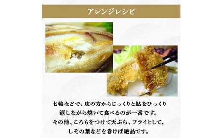 四万十鮎 一夜干し 12尾セット ／Ess-14 あゆ 鮎 川魚