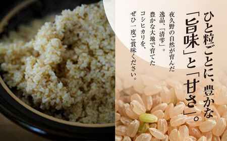 ＜3ヶ月定期便＞＜令和7年産＞ 京都夜久野産 清雫(せいな) コシヒカリ 玄米 (5kg×3回) ふるさと納税 福知山市 令和7年度産 先行 定期便 選べる 容量 回数 玄米 夜久野 京都 【fc-DB005-B03】【合同会社夜久野清雫】