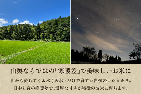 【令和8年産新米先行予約】【定期便3ヶ月毎月お届け】七谷産コシヒカリ 玄米5kg 《10月上旬～順次出荷》