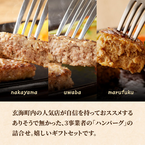 ハンバーグ3種詰合せ（ギフトセット）／ ハンバーグ 食べ比べ【B207】
