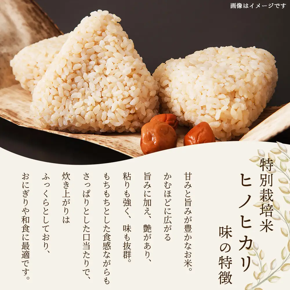 【令和8年産 新米予約】特別栽培米「ヒノヒカリ 玄米」10kg 114-0602