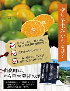 【糖度11度以上!】ゆら早生みかん「ゆらっ子」5kg ※2026年10月上旬～10月下旬頃に順次発送予定(お届け日指定不可) / 極早生 早生 由良町 和歌山県 柑橘 密柑 完熟 甘い ミカン 光センサー 柑橘 果実 くだもの フルーツ ブ JA認定ブランド品 糖度11度  先行予約【jahd003-r-5】