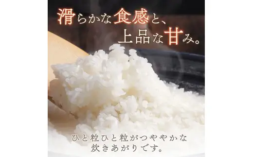 【7日以内発送】きぬひかり5kg ※お届け日指定不可※ 【jahd008A】