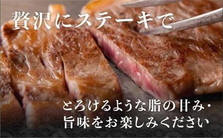飛騨牛 A5等級 もも肉 ステーキ 100g×3枚 | 黒毛和牛 ブランド和牛 牛肉 A5ランク 飛騨高山 ながせ食品 FH015VC13〔飛騨牛国産　飛騨牛和牛　飛騨牛ブランド　飛騨牛黒毛和牛〕