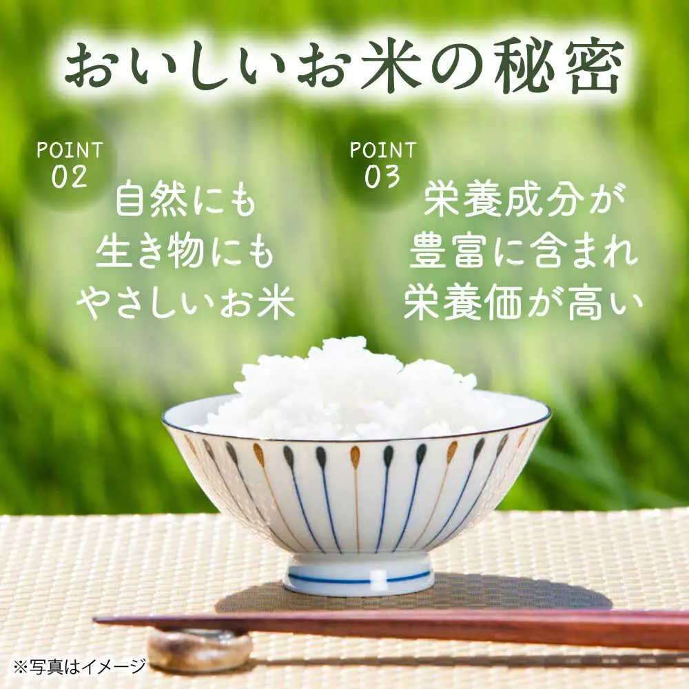 【令和7年度米】4kg・放し飼いたまご20個セット ヒノヒカリれんげ米 元気たまご【浅田峠自然塾】[EA19]