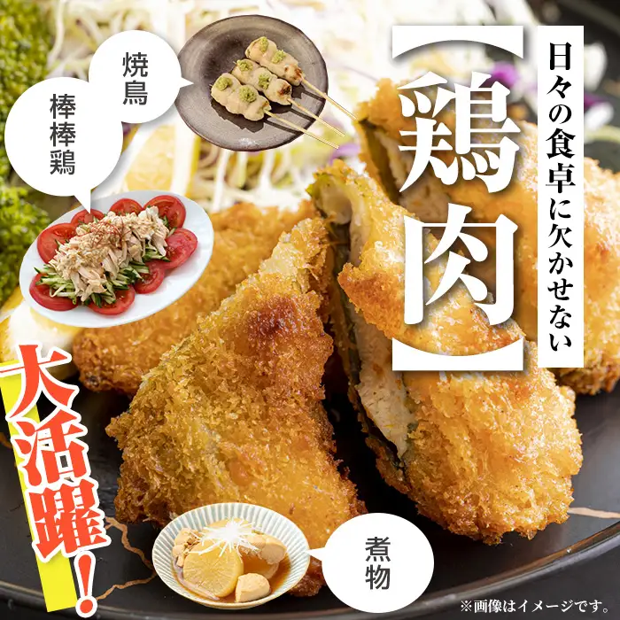 i1094 鹿児島県産 若鶏 ささみ (2kg×2P・計4kg ) 鶏肉 ササミ 国産 九州産 お肉 ダイエット 蒸し料理 チキン ヘルシー 冷凍 鶏ササミ 【まつぼっくり】