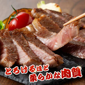 【令和8年10月発送】宮崎牛 モモステーキ 6枚 600g 【 肉 牛肉 国産 宮崎県産 宮崎牛 黒毛和牛 和牛 焼肉 ステーキ 4等級 A4ランク モモ 】