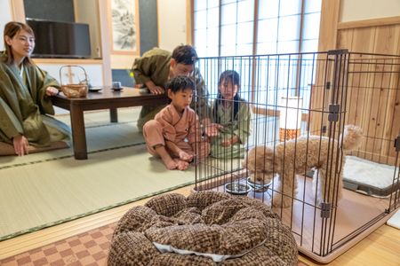 宿泊券 温泉 源泉かけ流し露天風呂付:スタンダード離れ和洋室 ペット同伴 宿泊プラン 1泊2食付き ペア宿泊券