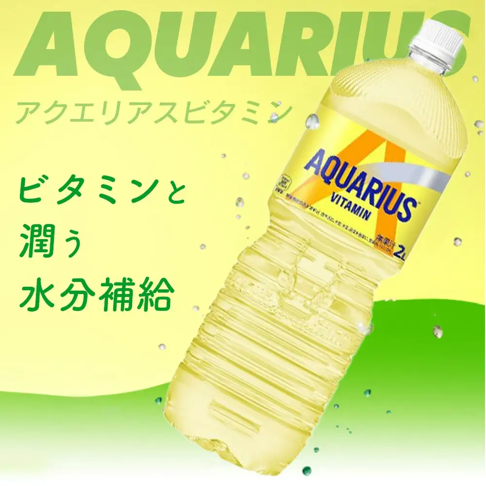 【6か月連続お届け】アクエリアス ビタミン　2L PET×6本　【04301-0681】