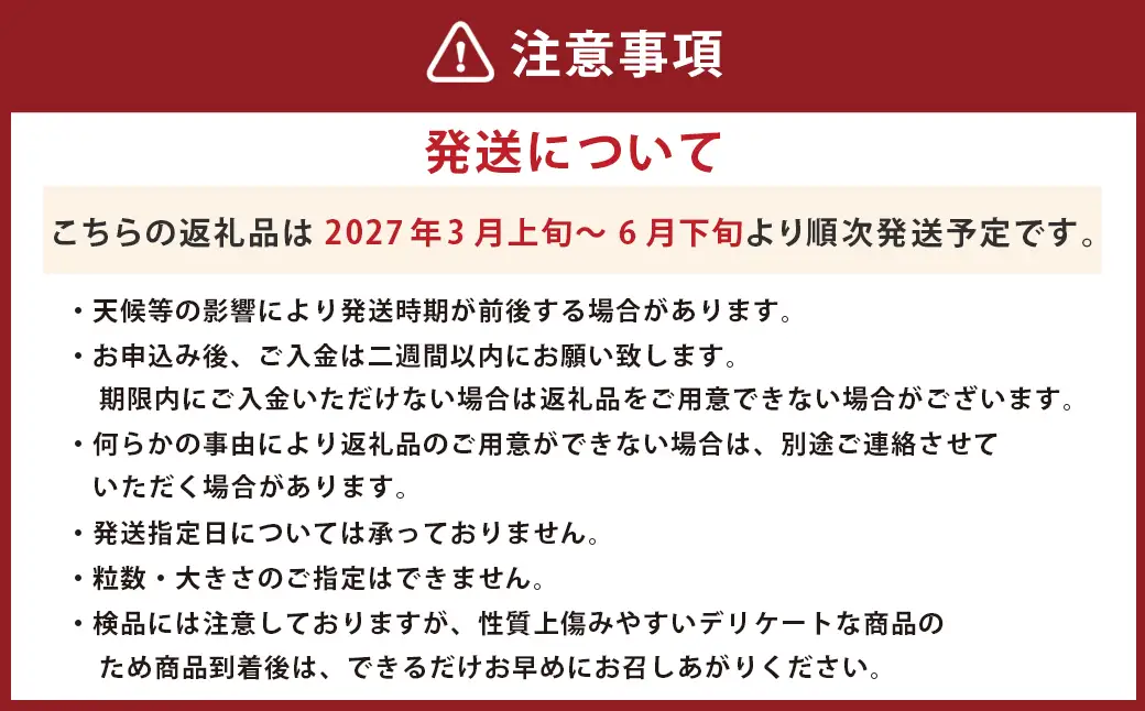 ＜ R8年熊本地震復興支援 ＞ 河内晩柑【手選別まごころ選果】約10kg サイズ不選別 晩柑 ばんかん 柑橘 くだもの 果物 フルーツ 【2027年3月上旬～6月下旬発送予定】