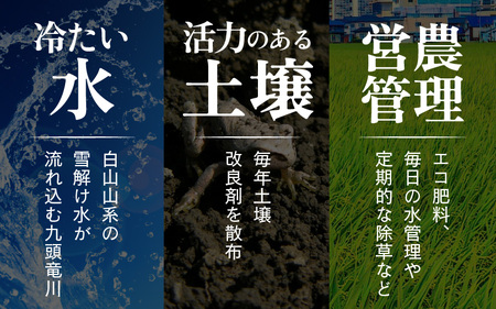 【令和6年産】エコ栽培 コシヒカリ 玄米10kg（5kg×2） ／ 米 鮮度抜群 福井県産 こしひかり ご飯 新鮮 玄米 [aw063-b005]