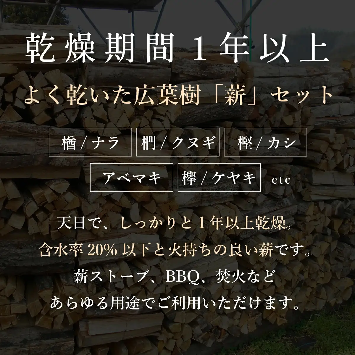 薪 乾燥済 丹波篠山産 100kg(20kg×5箱） 薪