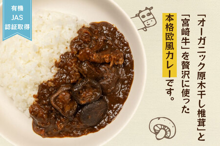カレー レトルト 山師のおひさま なばカレー 宮崎牛 原木椎茸 使用 180g