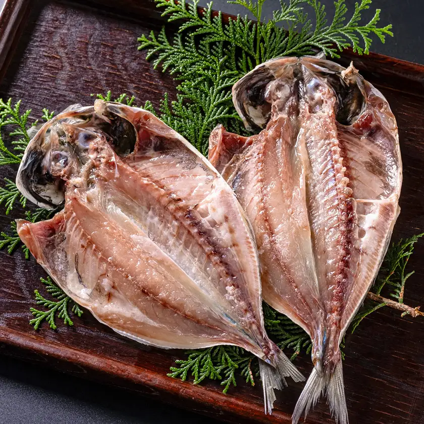 干物セット【特トロあじ10枚セット】　伊豆・伊東のひもの詰め合わせ　静岡県伊東_魚介・海産物  鮮魚 _【配送不可地域：離島】【1607078】