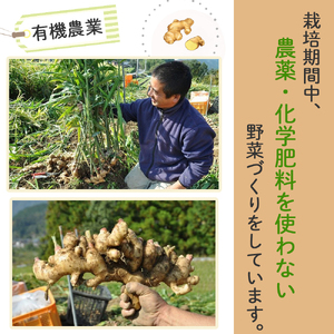 栽培期間農薬・化学肥料不使用の生姜で作った「桐島畑のジンジャーシロップ」480g×2本　Fkh-A05 　／生姜 しょうが 生姜シロップ 無農薬 ジンジャエール おすすめ