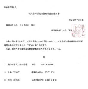 米 /能登のコシヒカリ　飯川のお米　10kg（精米10kg×1袋）特別栽培米 ※2026年10月～発送 石川県 七尾市