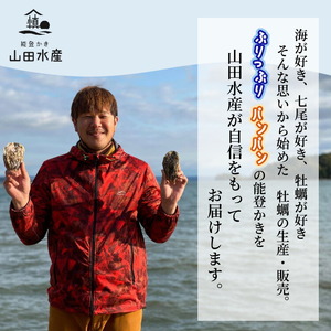 能登かき むき身 800g～850g（箱入り）◇ | 牡蠣 ※2027年1月～発送