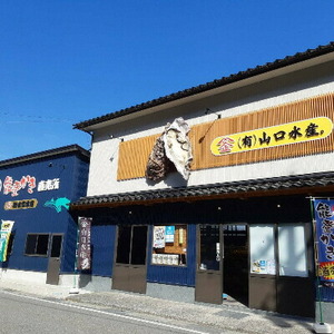 【発送時期が選べる】山口水産の能登かき / 三分缶(約30個入り)◇ ※2027年1月～発送 ｜ 牡蠣 殻付き