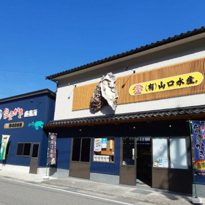 【発送時期が選べる】山口水産の能登かき / 半缶(約35～40個入り)×2◇ ※2027年1月～発送 ｜ 牡蠣 殻付き