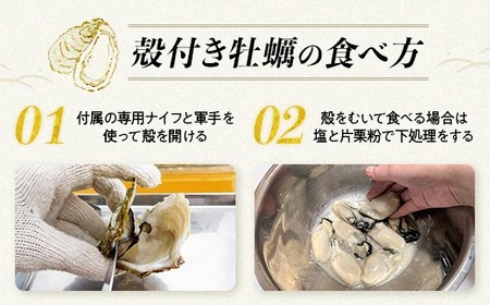 【能登半島地震復興支援】【発送時期が選べる】魚介類 牡蠣／能登かき 殻付牡蠣 一斗缶/約10kg（約80～100個） 専用ナイフ 片手用軍手付 ※要加熱 ※2027年1月下旬～5月下旬頃に順次発送予定 ｜ 牡蠣 殻付き