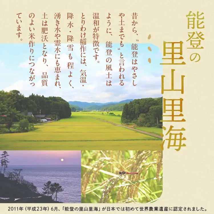 令和7年産 等伯米こしひかり10kg(5kg×2袋) | 米 ※2026年6月～発送