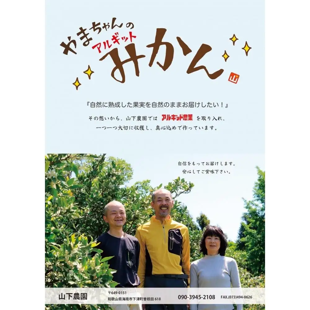 国産 バレンシアオレンジ 約5kg M～LLサイズ 山下農園