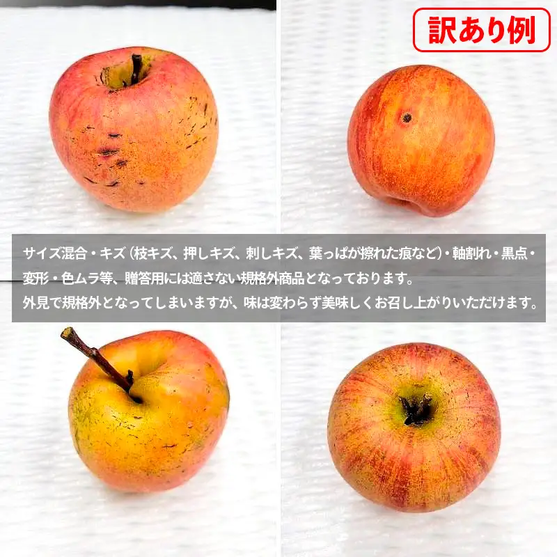 ★数量限定★【ご自宅用】山形産 サンふじりんご 約15kg (39～84玉) FZ26-747
