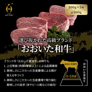 【A4～A5等級】おおいた和牛シャトーブリアンステーキ100g×5枚  _1472R