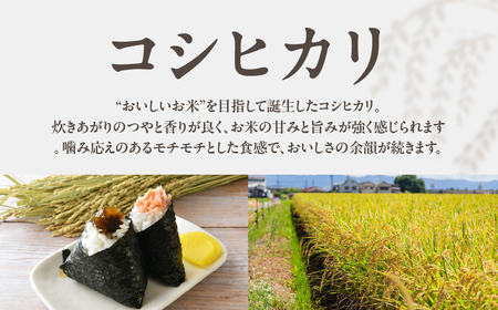 【農薬節減米】こしひかり 5kg お米お米 コシヒカリ
