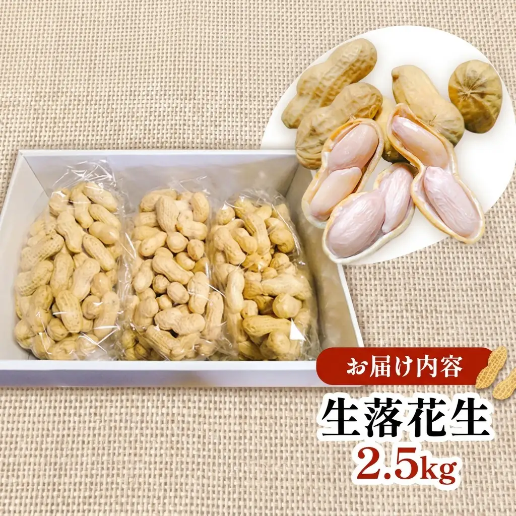 落花生 福岡県産 生落花生 おおまさり 2.5kg ※配送不可:離島
