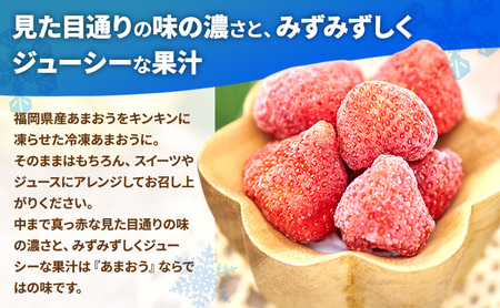 あまおう いちご 福岡県産 あまおう【約500g×5袋】【冷凍】