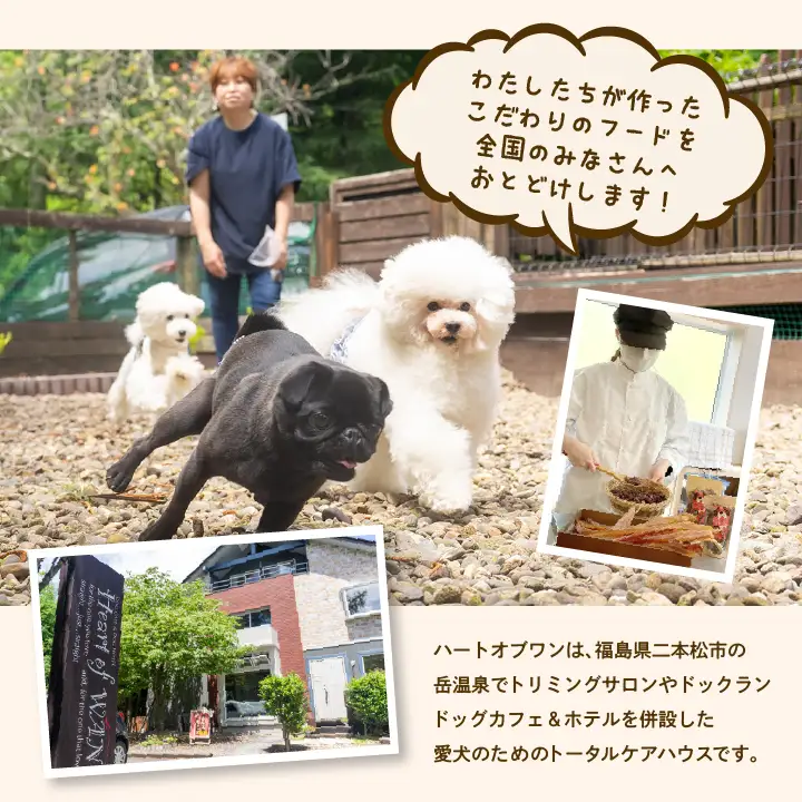 【6ヶ月定期便】ペットのためのドライ馬肉ごはん 計12袋【株式会社ハートオブワン】
