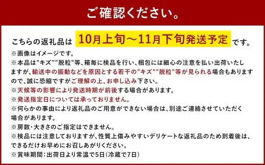 紫苑 2kg ぶどう 葡萄 フルーツ 果物 岡山県 岡山県産 2026年 先行予約 【2026年10月上旬-11月下旬発送予定】