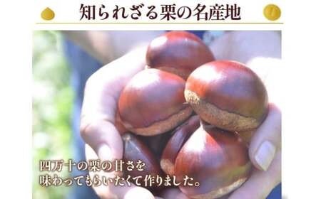 【新栗予約／2026年11月上旬以降順次発送】添加物不使用！栗のおいしさを追求！「しまんと地栗モンブラン(3個入)」　Qdr-B77 ／添加物不使用 白砂糖不使用 ギフト お取り寄せ 高知 四万十 四万十ドラマ しまんと地栗 国産栗 和栗 モンブラン ケーキ 栗スイーツ 贈りもの 御祝 洋菓子 渋皮煮 熨斗 御年賀 御歳暮 御中元