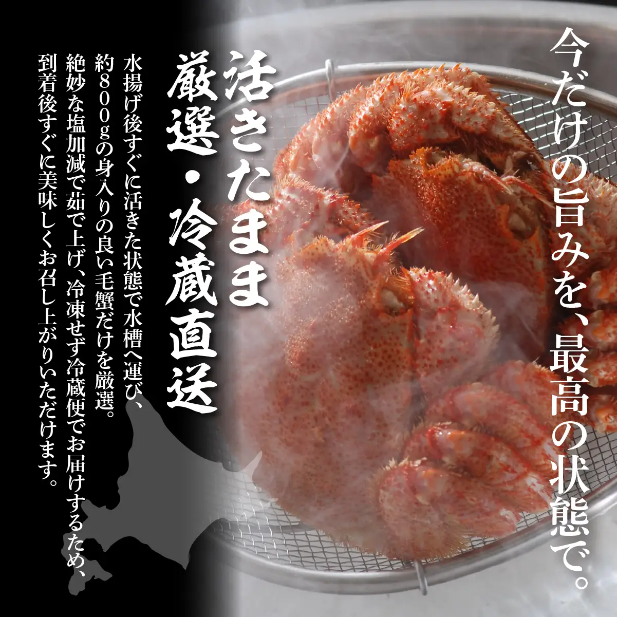 【先行予約】 流氷海明け・活〆茹で毛蟹1尾約800g冷蔵便届け 【2027年4月～順次発送開始予定】 ABAO110