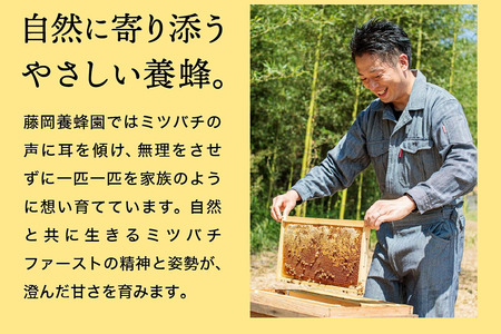【2025年採蜜】 完熟はちみつ　500g（藤岡養蜂園） 　014FY01N. ／ 完熟 熟成 天然 ハチミツ 養蜂 蜂蜜 ミツバチ チューブ 