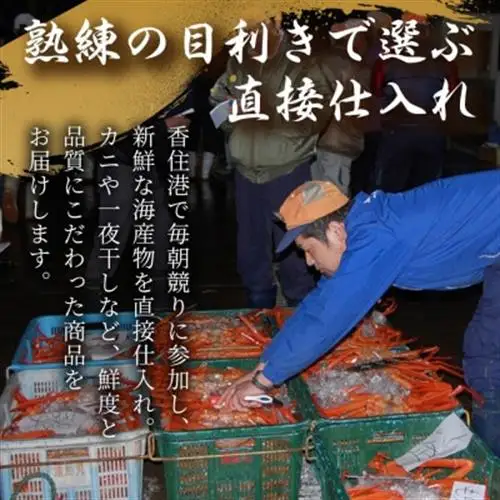 香住がに　おまかせセット　約2.5kg(3～6枚)【配送不可地域：離島】【1606120】