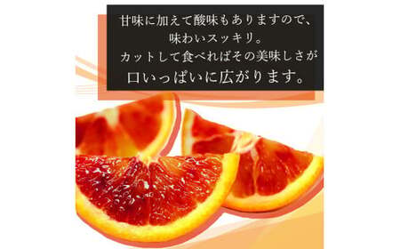希少な柑橘!紀州有田産ブラッドオレンジ約5kg 【ご家庭用】※2027年3月中旬頃?3月下旬頃に順次発送 (お届け日指定不可) 【uot853】