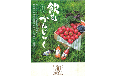 農家の手作りドリンクセット 飲みきりサイズ3種 計12本／ トマト とまと ブルーベリー にんじん 人参 りんご ジュース 野菜ジュース 飲料 贈り物 ギフト 畑工房気まま屋 奈良県 宇陀市 ふるさと納税