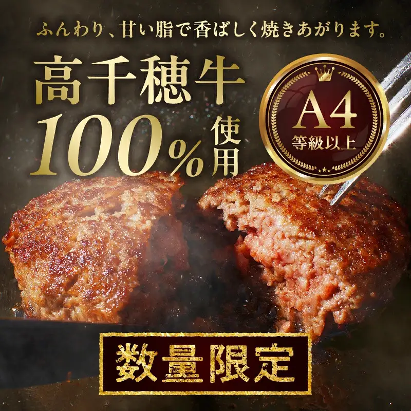 【3回定期便】 高千穂牛100％ハンバーグ定期便(2か月ごとに1回お届け) 高千穂牛 牛肉 肉 お肉 定期便 定期 国産牛 ブランド牛 黒毛和牛 和牛 ハンバーグ 国産 冷凍 贈答 贈り物 簡単調理 おかず 普段使い _Tk002-t084