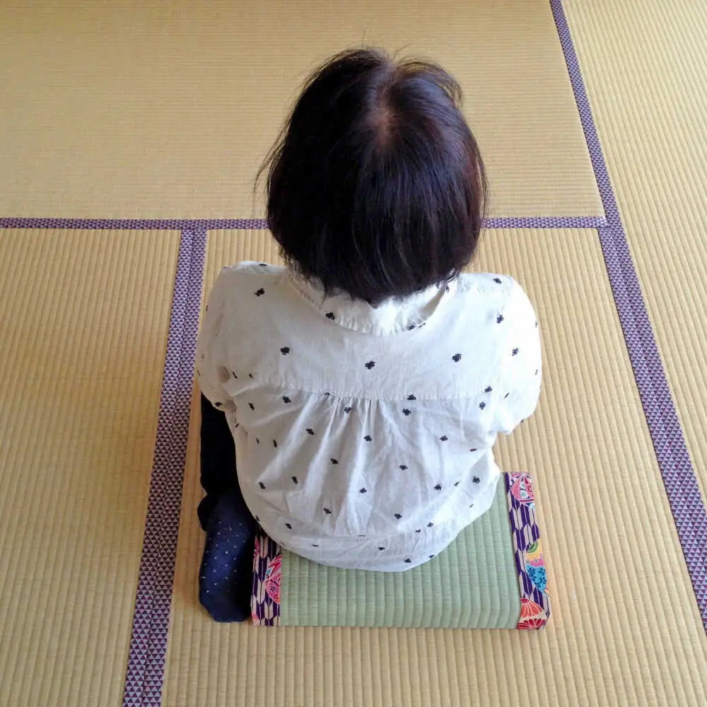一畳屋 あぐら畳 座卓 枕 1枚  まくら[AYAB111]