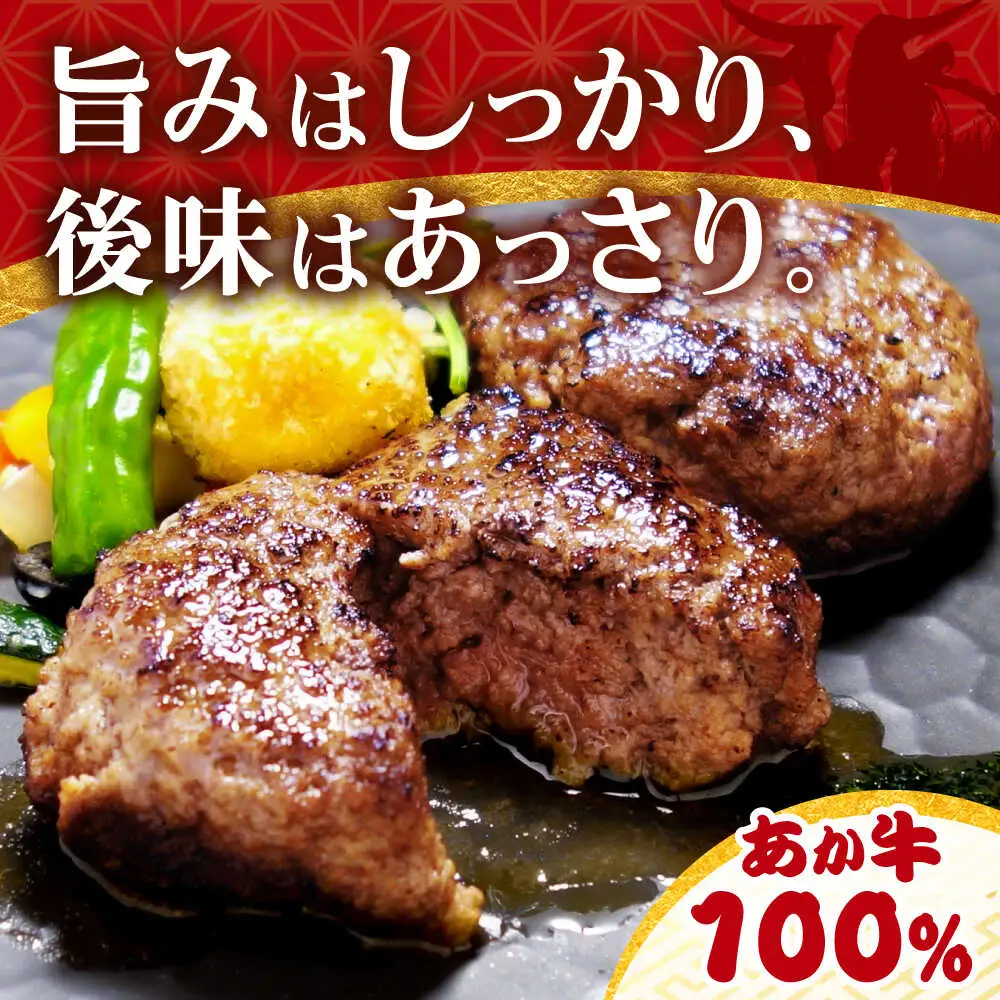 あか牛100％ハンバーグ 約120g×6個 ハンバーグ[AYCQ001]