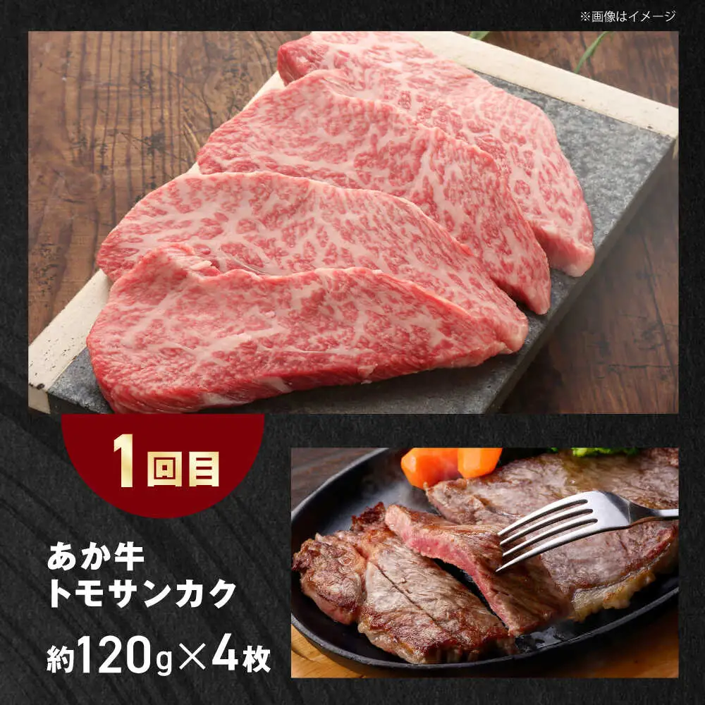 【全3回定期便】【GI認証】くまもとあか牛 食べ比べ E トモサンカク カイノミ リブロース ロース[AYCQ030]