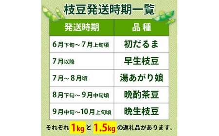 早生枝豆 1kg【 数量限定 早生 枝豆 おつな姫 陽惠 新潟県 先行予約 1kg seida018 】