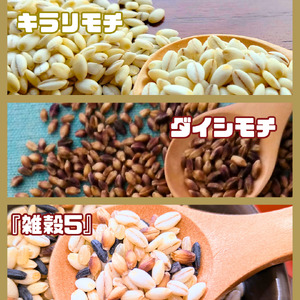 CIC11_３種類の雑穀バラエティーセットA（キラリモチ・ダイシモチ・雑穀５）各３００ｇ×３袋